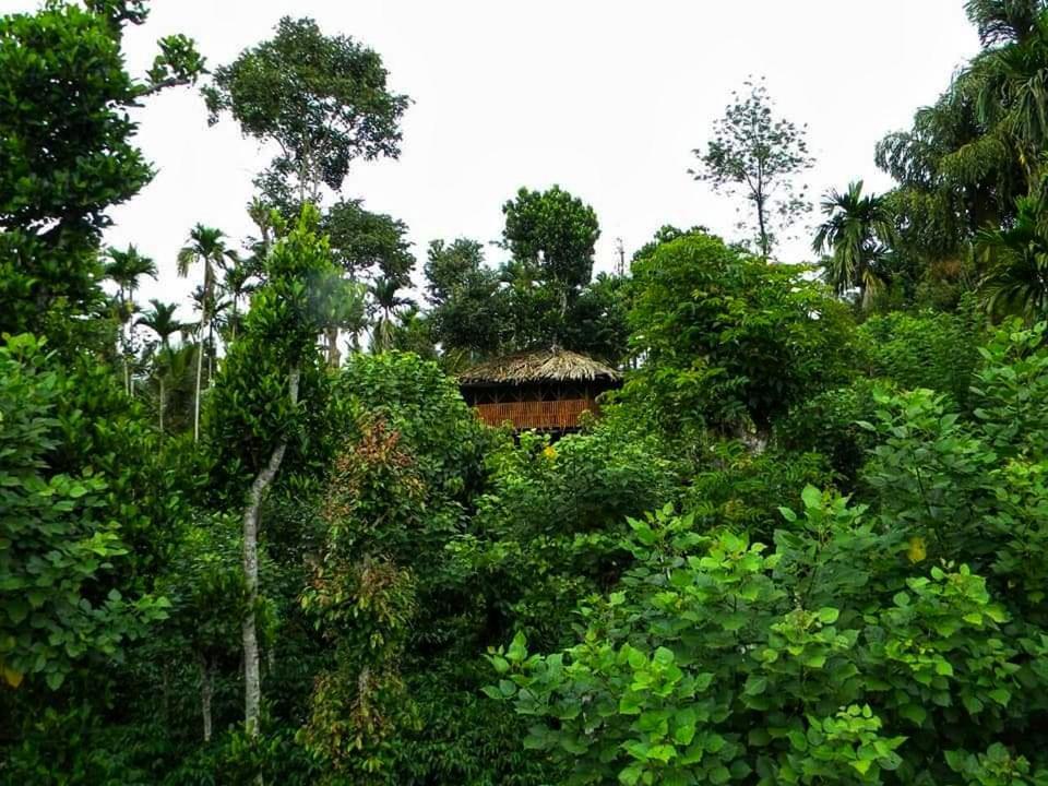 Greens Tree House & Wood House スルタン・バザリー エクステリア 写真