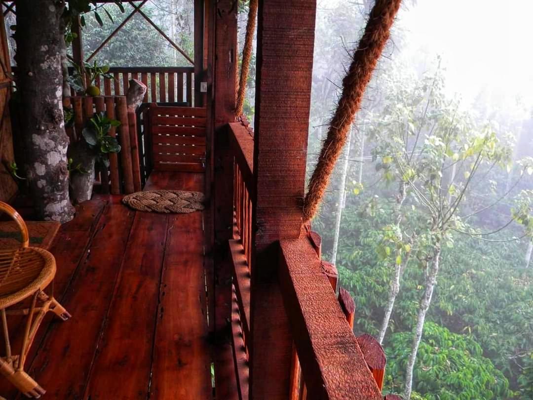 Greens Tree House & Wood House スルタン・バザリー エクステリア 写真