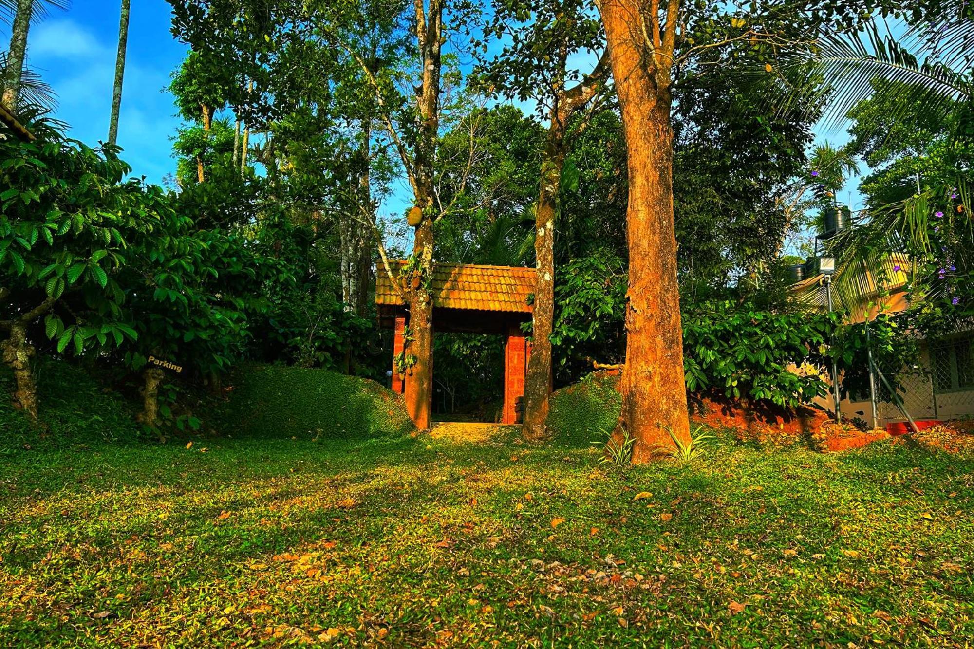 Greens Tree House & Wood House スルタン・バザリー エクステリア 写真