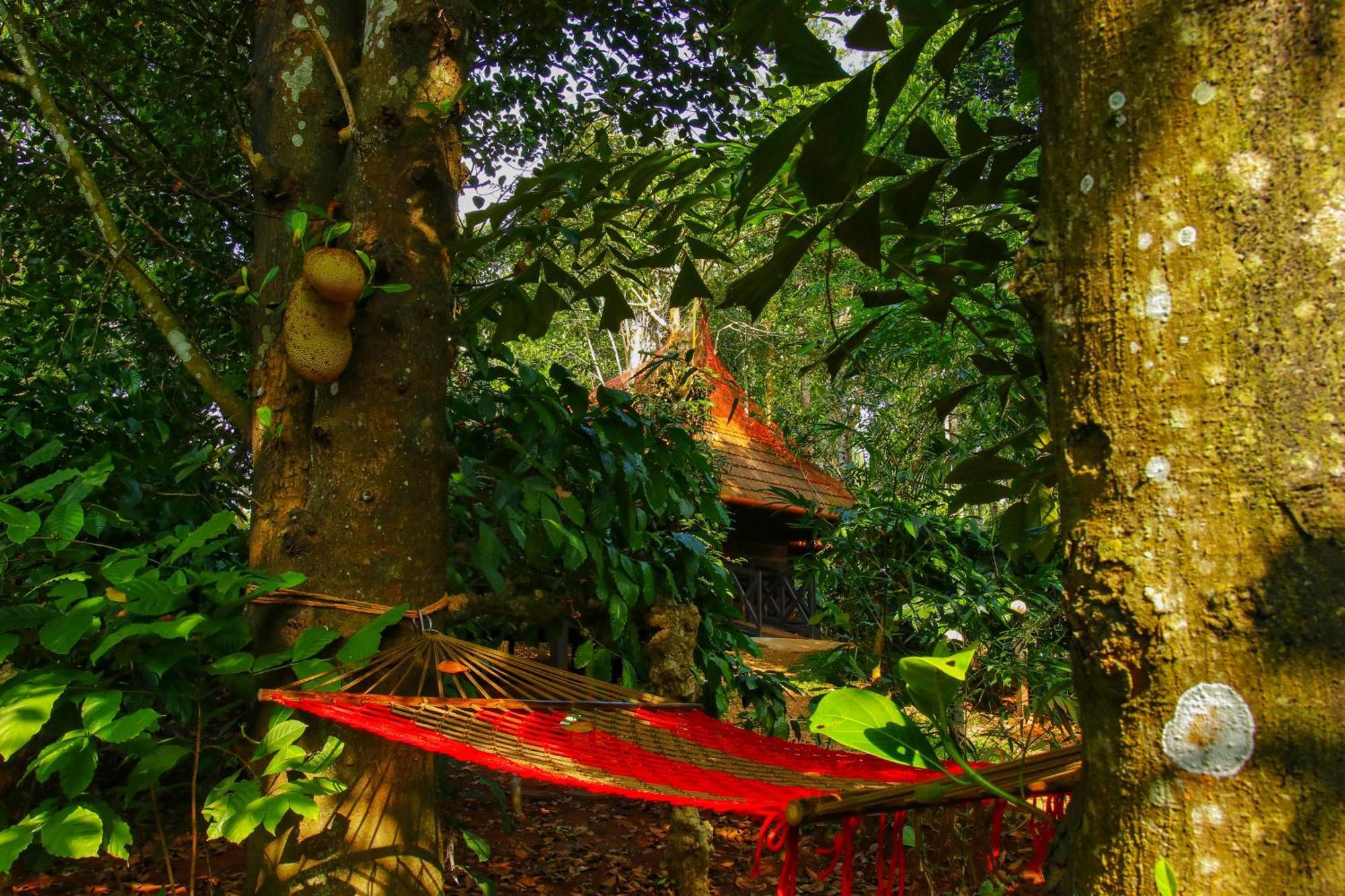 Greens Tree House & Wood House スルタン・バザリー エクステリア 写真
