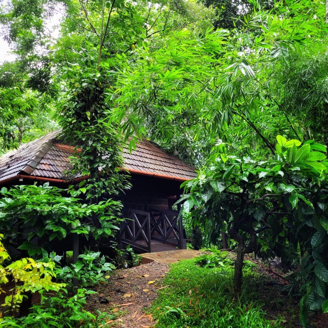 Greens Tree House & Wood House スルタン・バザリー エクステリア 写真