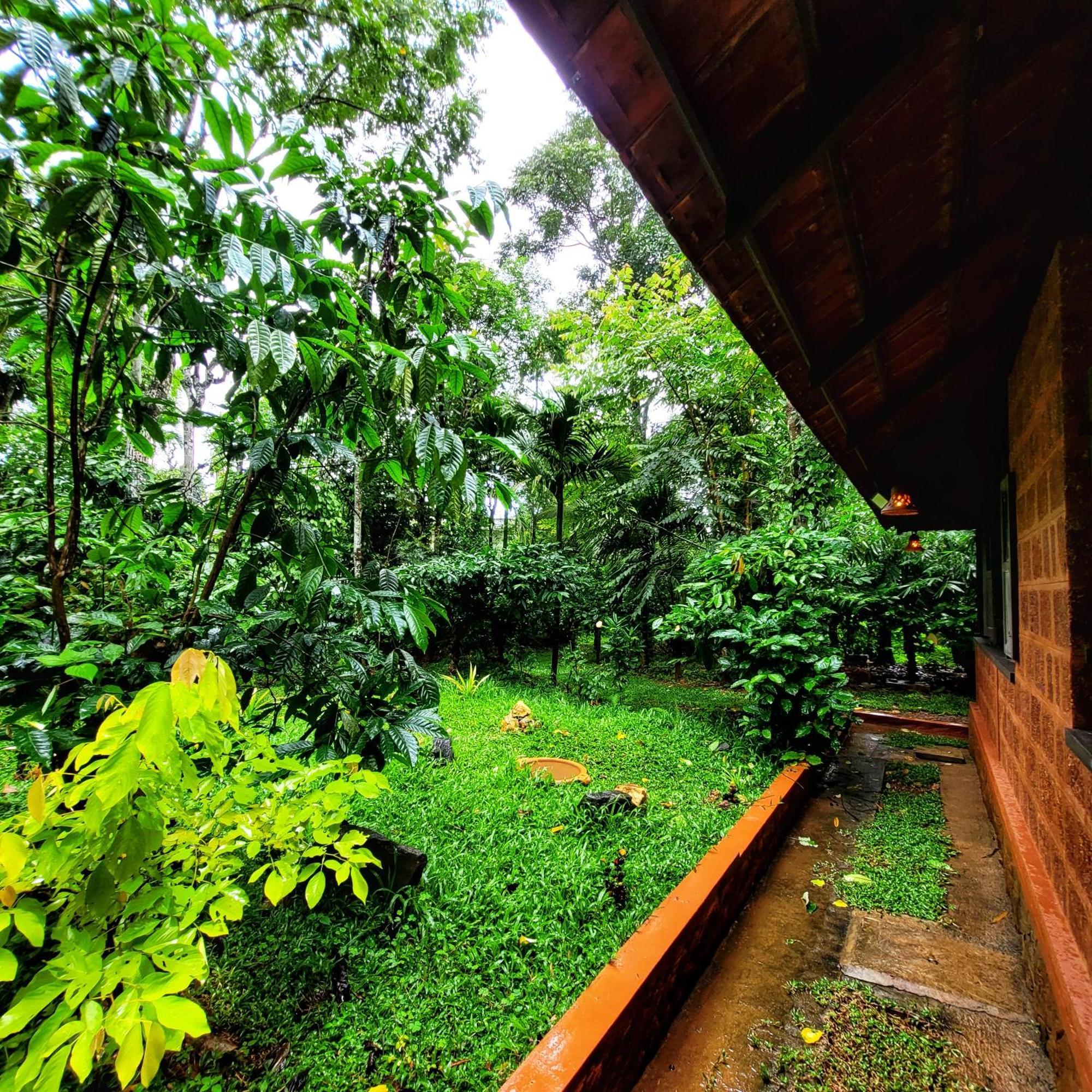 Greens Tree House & Wood House スルタン・バザリー エクステリア 写真