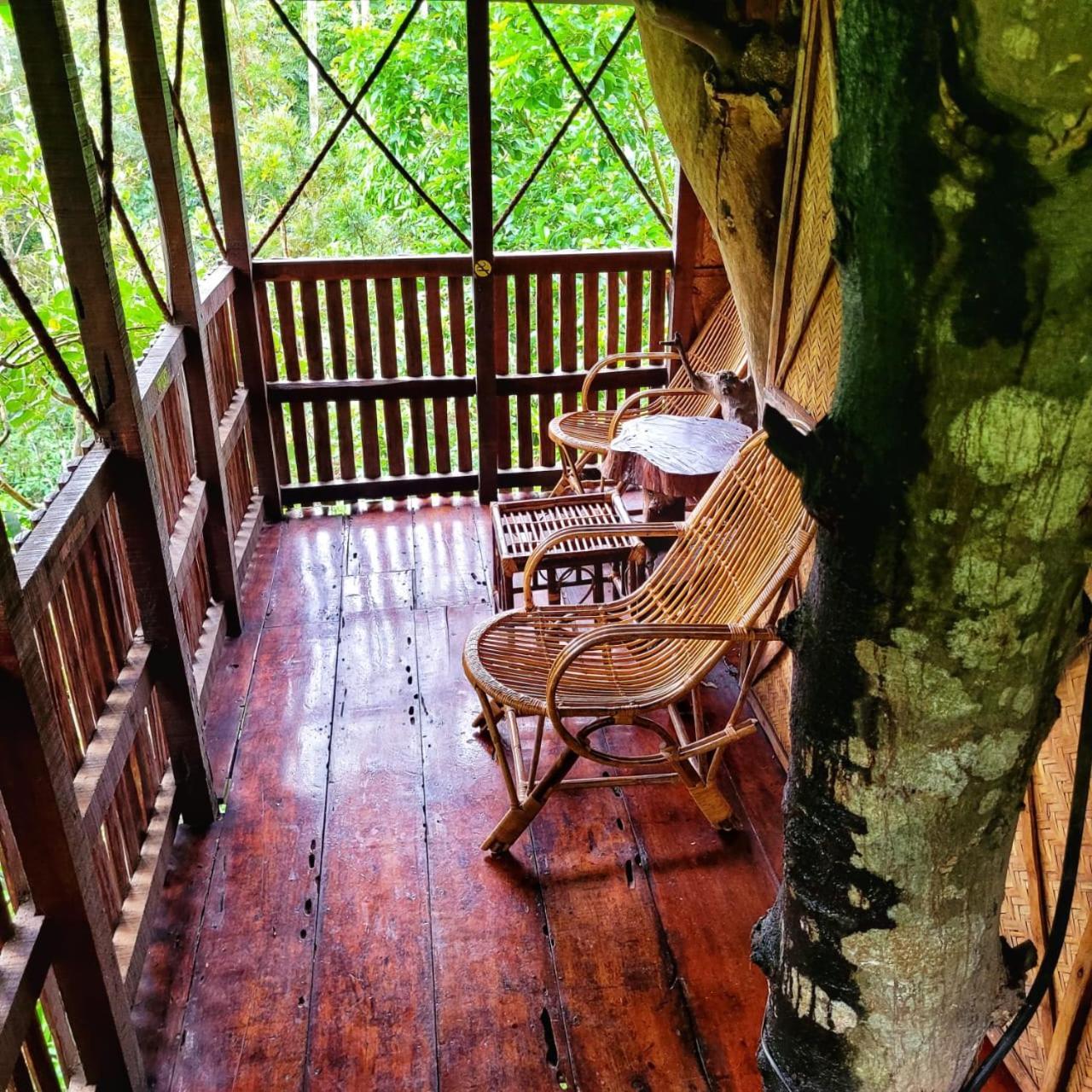 Greens Tree House & Wood House スルタン・バザリー エクステリア 写真