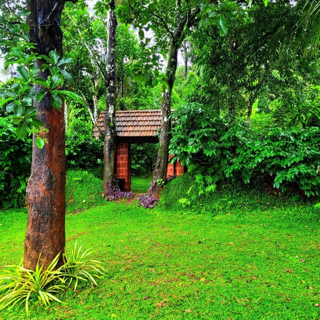 Greens Tree House & Wood House スルタン・バザリー エクステリア 写真