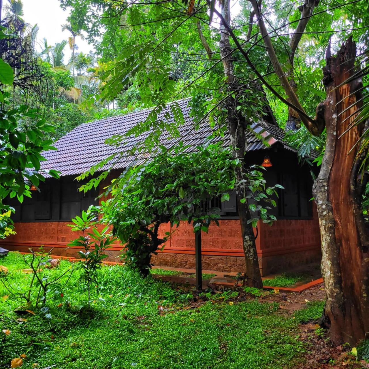 Greens Tree House & Wood House スルタン・バザリー エクステリア 写真