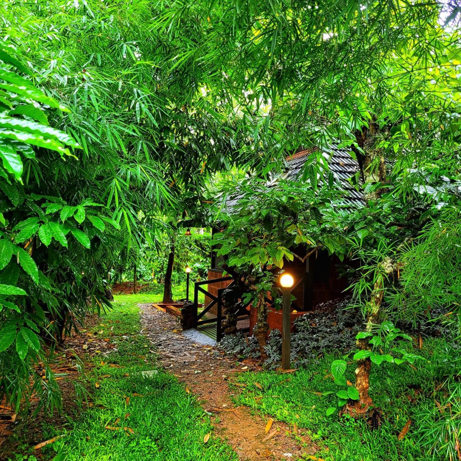 Greens Tree House & Wood House スルタン・バザリー エクステリア 写真