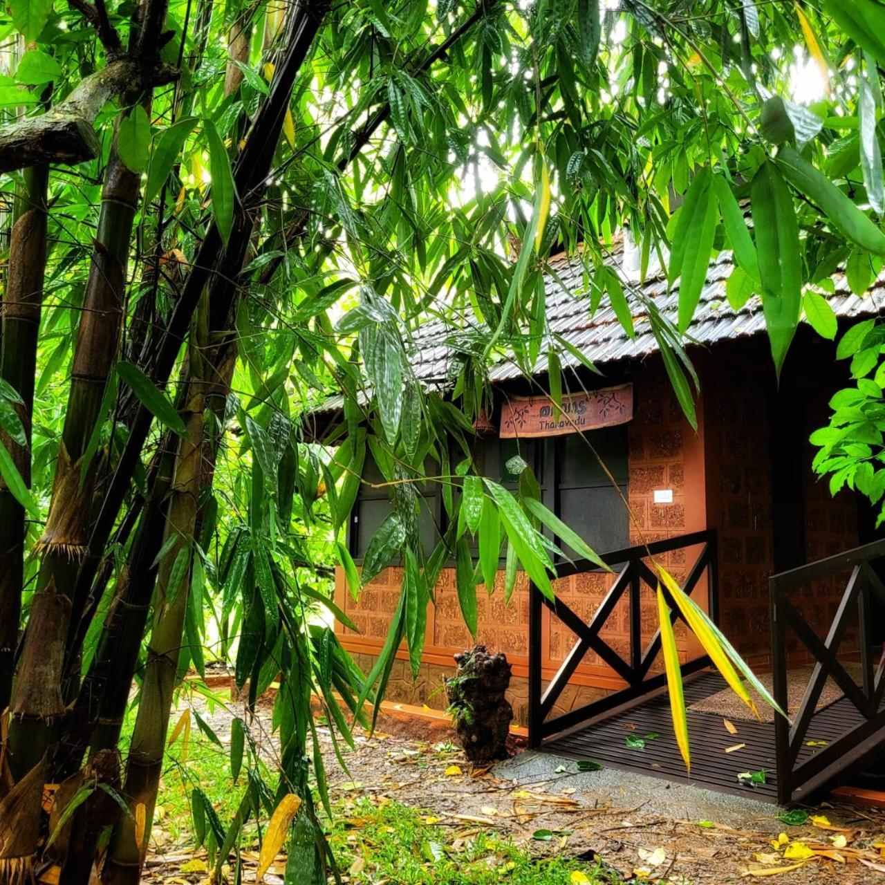 Greens Tree House & Wood House スルタン・バザリー エクステリア 写真